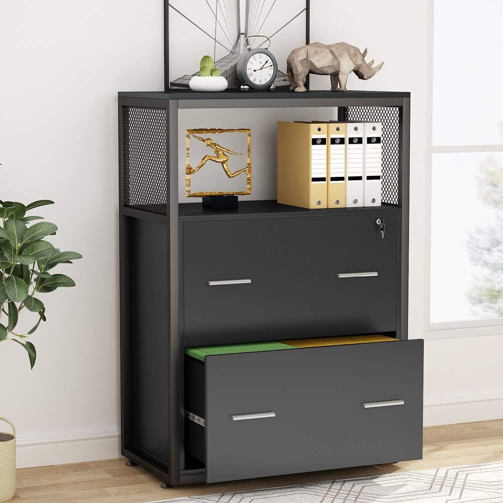 2 Drawer Lateral File Cabinet with Lock C688948