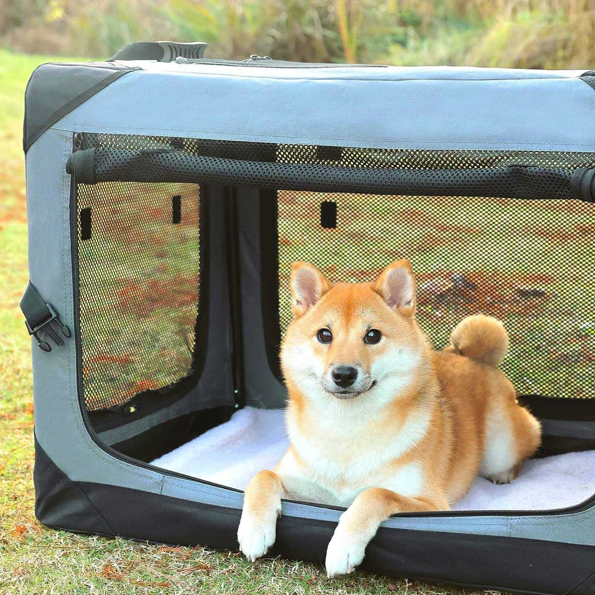 Collapsible 4-Door Soft Dog Crate B36904