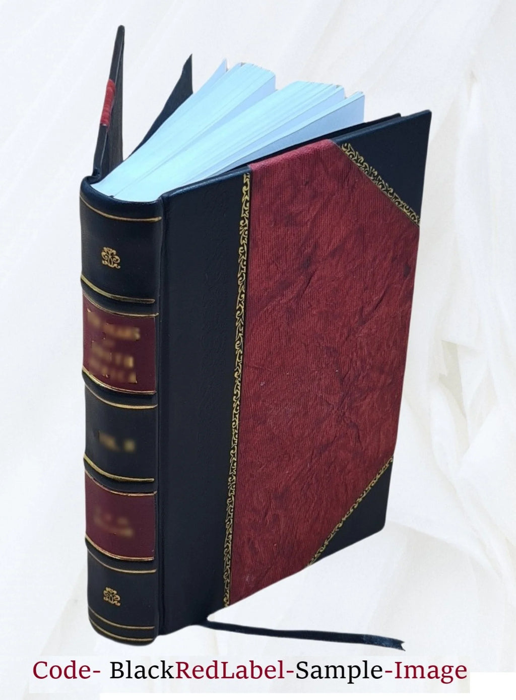 Cockpit of Santiago Key [Leather Bound] I398576