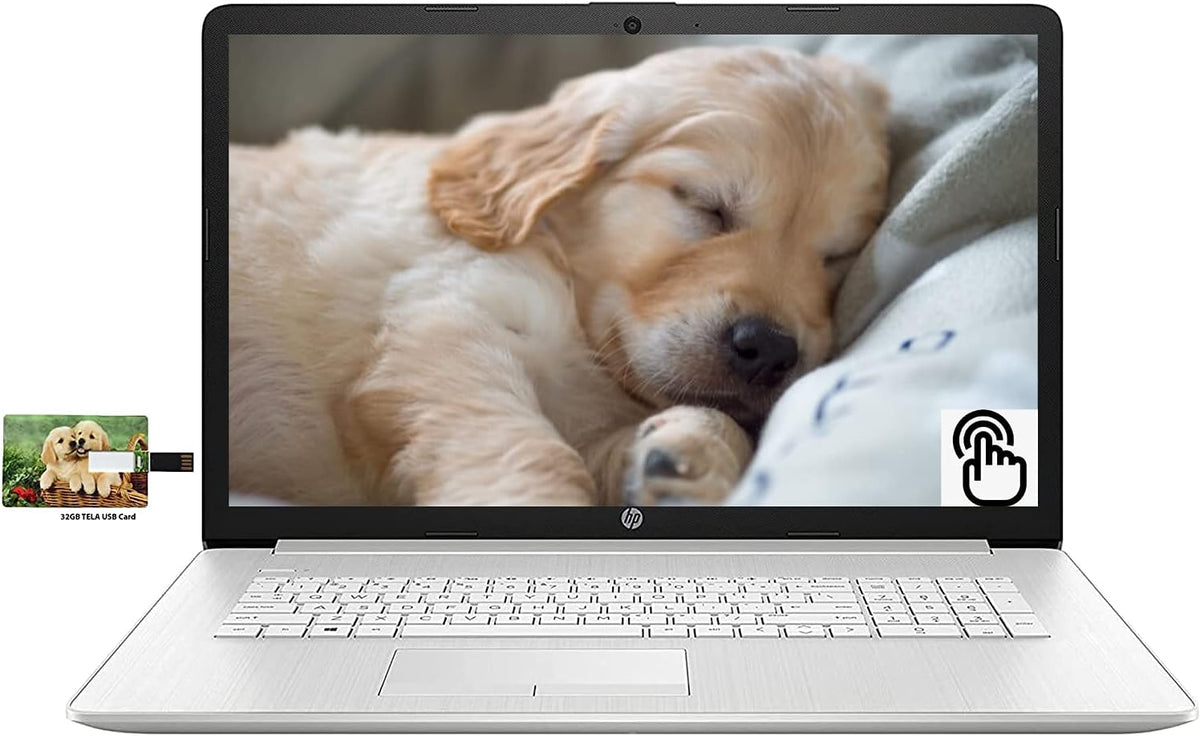 17.3 Touchscreen Laptop, AMD Ryzen 5-5500U, 12GB RAM, 128GB SSD + 1TB HDD, Windows 10 Pro E6367