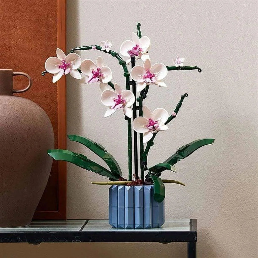 Orchid G28638