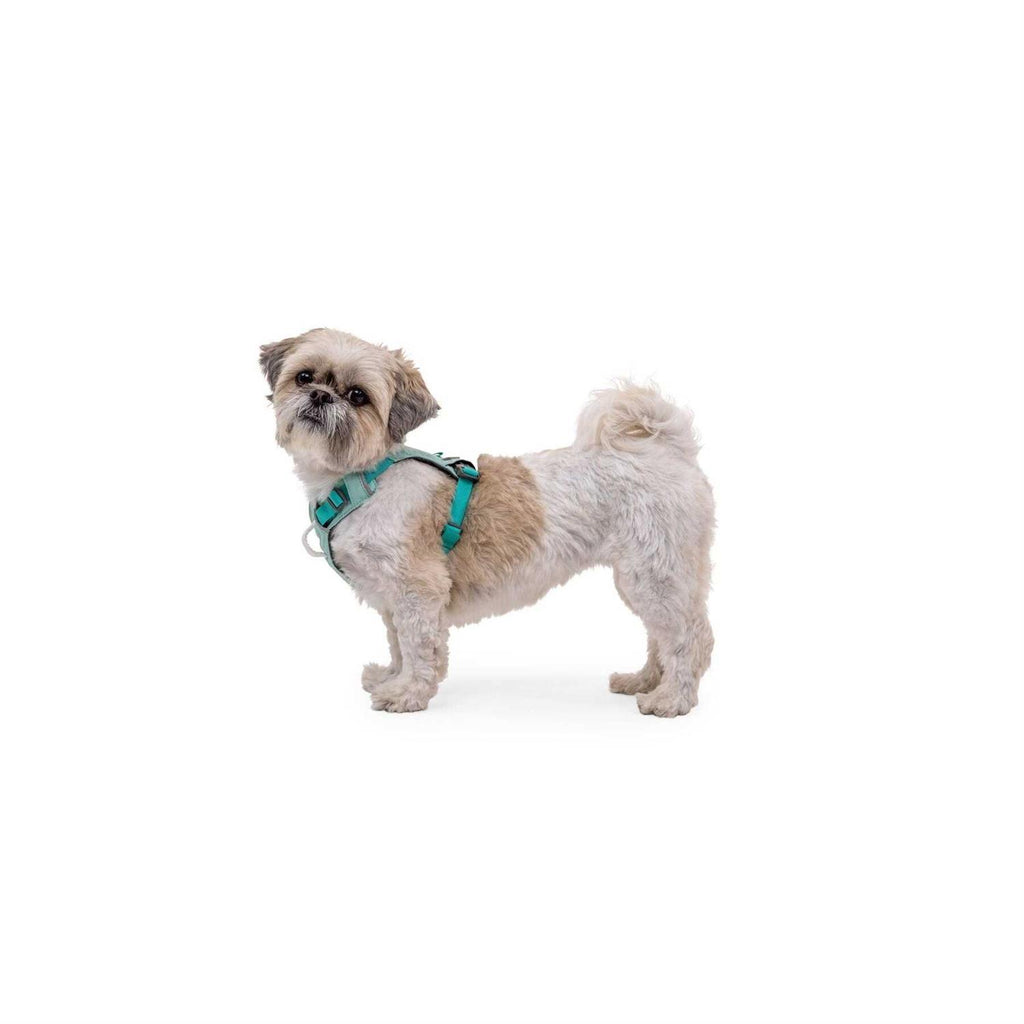 Hi & Light Dog Harness X7370