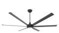 Black Ceiling Fan O166