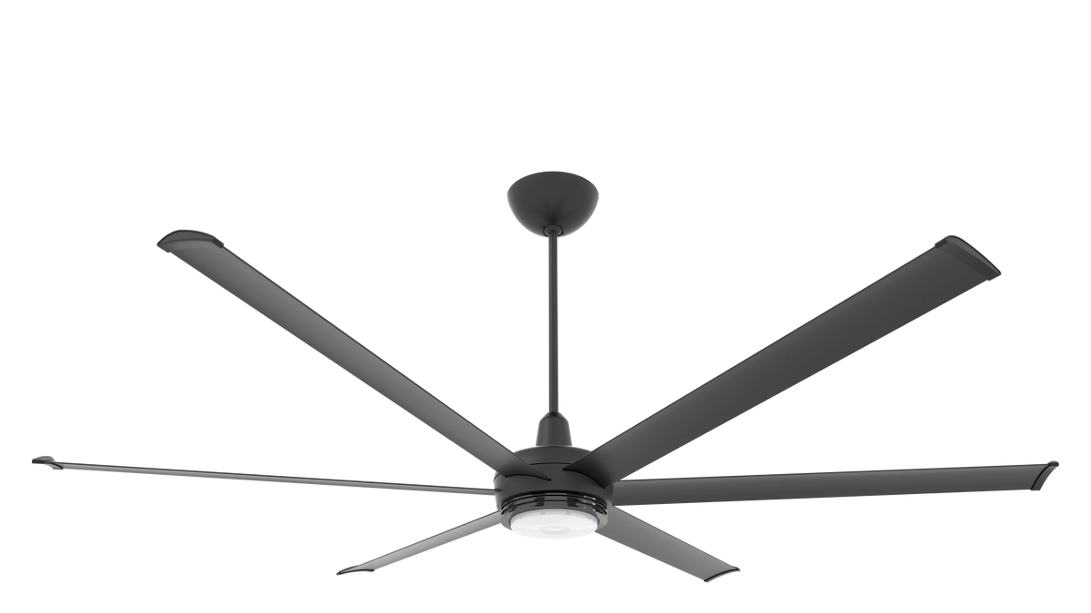Black Ceiling Fan O166