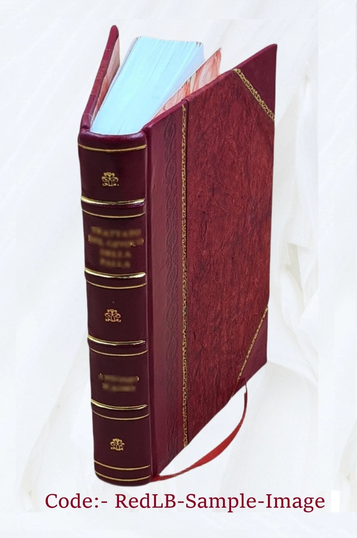 Cockpit of Santiago Key [Leather Bound] I398576